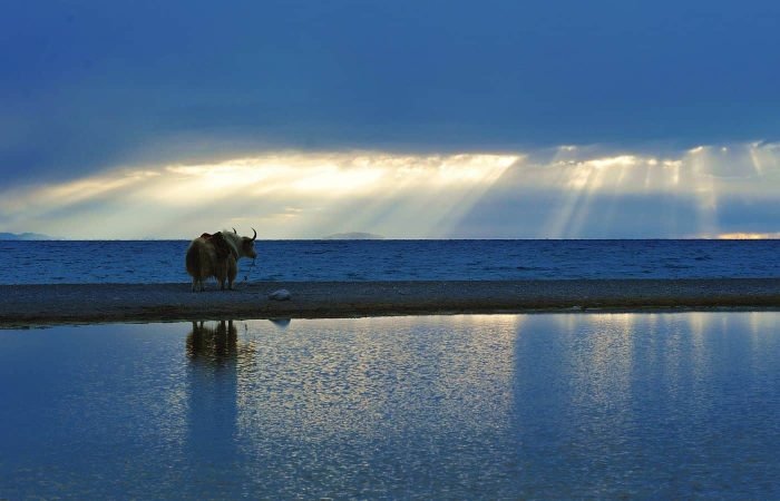 10 Days Lhasa, Everest And Namtso Lake Tour
